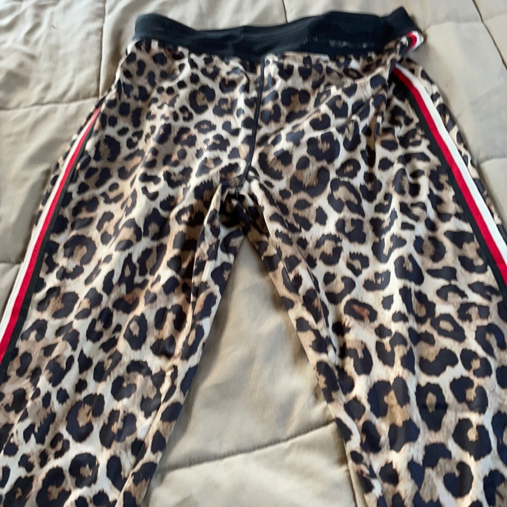 Leopard tights